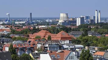 Streit um Holzkraftwerk in Spandau: Grüne fordern Stopp