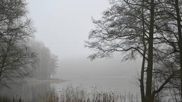 Explosionen im Grunewald: Heute und morgen knallt es wieder – das steckt dahinter