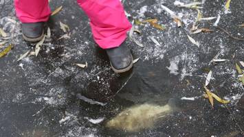 Qualvoll erstickt: Tote Fische auf Berliner Gewässern – Amt bittet um Mithilfe