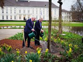 amtssitz des bundespräsidenten: bellevue – schöne, teure aussichten