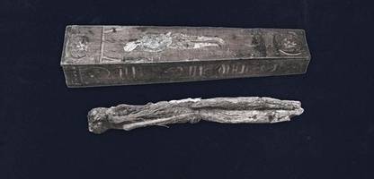 legenden über alraunen: die teuflische macht der galgenmännchen