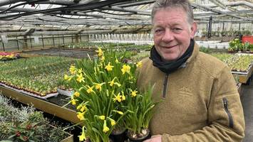 frühlingsblüher: diese blumen gehören jetzt in die beete und balkonkästen