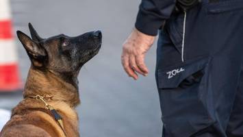 Kettenbetrug in Millionenhöhe – Großrazzia mit Schwerpunkt Hamburg