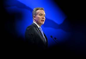 epstein files: børge brende tritt als chef des weltwirtschaftsforums zurück
