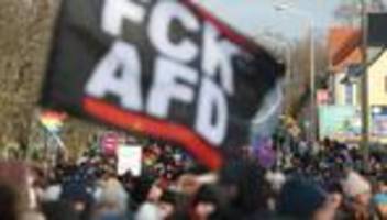 afd-parteitag: ermittlungen zu polizeigewalt bei afd-protesten eingestellt