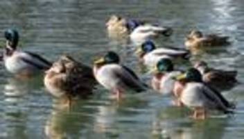 Milde Temperaturen: Wetter-Mix in NRW: Erst Sonne, dann Regenschauer