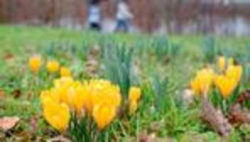 Wetterbericht: Wo ein Temperaturrekord im Südwesten geknackt werden könnte