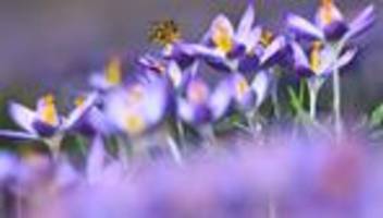 Wettervorhersage: Erst Nebel, dann viel Sonne - aber nicht überall