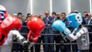 Friedrich Merz in China: Die sanften Drohungen des Fulidelixi Moci