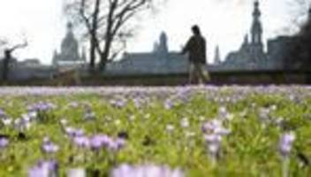 Wetter: Meteorologen erwarten über 20 Grad in Teilen Deutschlands