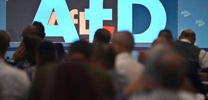 AfD-Verwandtenaffäre: Wo verlaufen die Grenzen und gibt es Ähnliches in anderen Parteien? Der aktuelle Überblick.