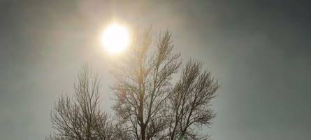 Wetter im März: Erst 20 Grad, dann kippt die Lage – das sagen die Prognosen