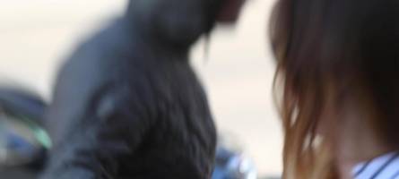 Polizei nimmt nach Vergewaltigung am Bahnhof mutmaßlichen Täter fest