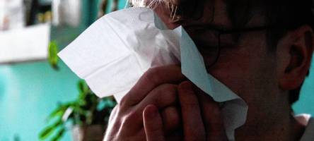 RKI-Zahlen: Grippewelle ebbt ab, doch ein anderes Virus bleibt hartnäckig