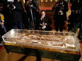 Reliquie des Franz von Assisi: Warum dieser Massenandrang für ein paar alte Knochen?