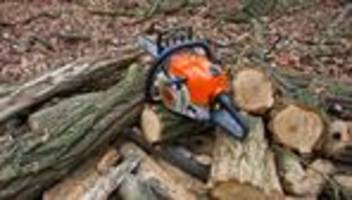 Entgelte: Demo mit Motorsägen vor Beginn der Tarifgespräche