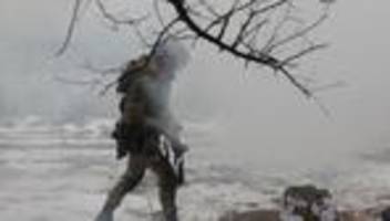 lage in der ukraine: gegenangriff im nebel und flamingos in der nacht