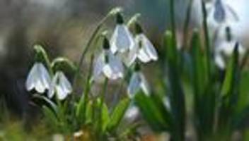 Wetter: 20 Grad plus und mehr am vorletzten Februartag in Thüringen