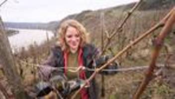 Wetter und Wein: Frühling an der Mosel - drohen den Reben Frostschäden?