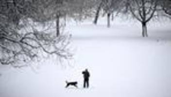 Deutscher Wetterdienst: Winter war milder, trockener und sonniger als im Mittel