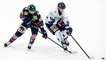 Eisbären nähern sich in kleinen Schritten dem großen Ziel