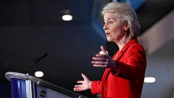 Trotz Blockade: EU-Kommission kündigt Anwendung von Mercosur-Abkommen an