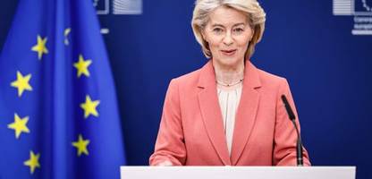 Mercosur: EU und Südamerika-Staaten können schon jetzt freier handeln