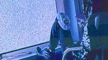 „White Tiger“: War es Mord? Welche Strafe maximal möglich ist