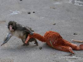 Debatte: Es gilt die Unschuldsvermutung