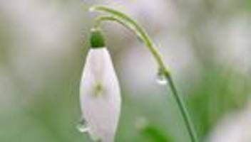 Wetter im Südwesten: Nach Sonne und 23 Grad: Tief sorgt für Wolken und Schauer