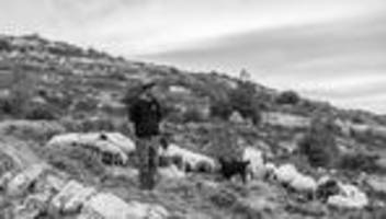 israelische siedlungsbewegung: die macht der siedler: israel und das westjordanland