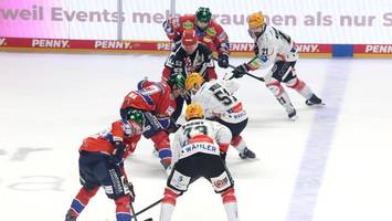 eisbären gegen bremerhaven: die letzte chance für den titelverteidiger