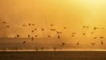 DWD-Vorhersage: Trister Sonntag - Wo es am ehesten freundlich werden könnte