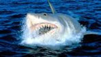 Steven Spielberg: Hi!