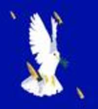 US-Angriff auf den Iran: Europas Diplomatie ist gescheitert