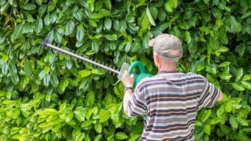 hecke schneiden: warum jetzt bußgelder drohen – und welche ausnahmen gelten