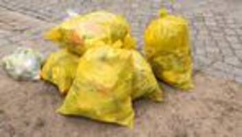 Arbeit als Müllmann: Mittlerweile weiß ich, in welchen Häusern mir Ratten begegnen