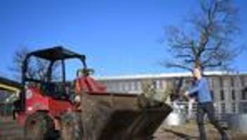 Betrug über das Internet: Reitverein mit Fake-Verkauf um 17.000 Euro betrogen