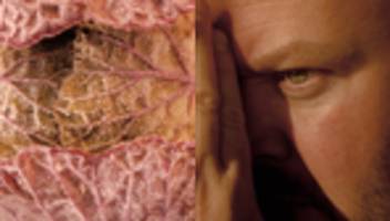 Daniel Berlin: Der Koch, der Tod, die Sterne