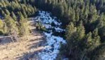 Großprojekt: 10 Millionen Euro für Naturschutz im Thüringer Wald