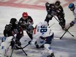 Rekordverdächtiger DEL-Appetit: Kölner Haie schaffen, was ihnen seit 26 Jahren nicht gelang