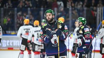Was den frustrierten Eisbären jetzt noch helfen kann