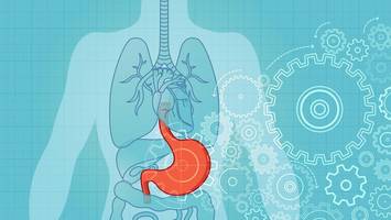 ernährung bei gastritis: dr. riedl empfiehlt diese „entzündungshemmer“