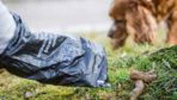 Tiere: Karlsruhe stoppt Ausgabe von Hundekotbeuteln wegen Haushalt