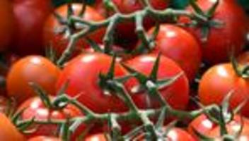 Wirtschaft: Mehr Gemüse aus Gewächshauern in Thüringen