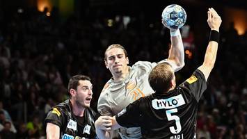 Füchse im Land der Besten: Das macht Dänemark seit Jahren zur Nummer eins