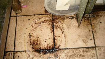 kontroll-portal für berliner ekel-restaurants abgeschaltet – das ist der grund