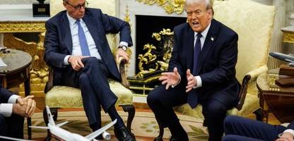 USA: Fünf Erkenntnisse aus Friedrich Merz' Treffen mit Präsident Donald Trump