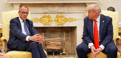 was friedrich merz mit donald trump im weißen haus besprechen will
