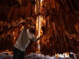 Bangladesch: Ein gefälschter Wirtschaftsboom, der nun zum Problem wird